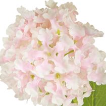 Prodotto Snowball Plant Fiori artificiali rosa bianco L78cm 2 pezzi