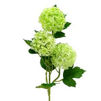 Prodotto Palla di neve artificiale verde 65 cm 2 pezzi