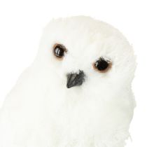 Prodotto Gufo delle nevi, gufo decorativo bianco con pelliccia e piume, 15,5 cm, 2 pezzi