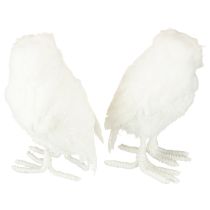 Prodotto Gufo delle nevi, gufo decorativo bianco con pelliccia e piume, 15,5 cm, 2 pezzi