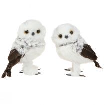 Prodotto Figura decorativa Gufo delle nevi Coppia di gufi Bianco Marrone H12 cm 4 pz