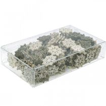 Prodotto Mix glitter legno fiocchi di neve Ø2cm 144p