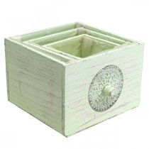 Prodotto Cassetta per piante cassetto decorativo shabby verde 15-23cm set di 3