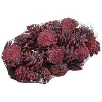 Prodotto Pigne nere decorazione naturale rossa satinata 5–7 cm 1 kg