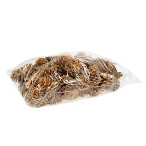 Prodotto Pigne decorative pigne nere crema 5-8 cm 1 kg