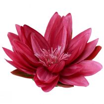Prodotto Decorazione da tavolo artificiale a forma di ninfea galleggiante fucsia Ø15cm 2 pezzi