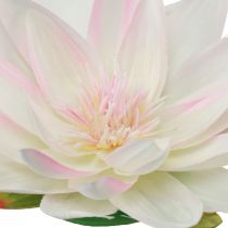 Prodotto Ninfee galleggianti artificiali decorazione da tavolo bianche, rosa Ø15cm 2 pezzi