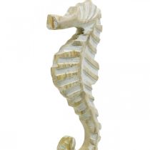 Cavalluccio marino in legno, decoro marittimo, figura decorativa animale marino colore naturale, bianco H35cm