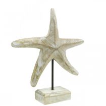 Stella marina da posizionare, decoro in legno marittimo colore naturale, bianco H23,5cm