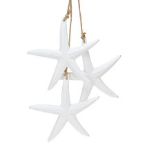 Prodotto Decorazione stella marina decorazione marittima in legno da appendere bianco con 3 stelle 46cm