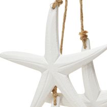 Prodotto Decorazione stella marina decorazione marittima in legno da appendere bianco con 3 stelle 46cm