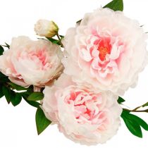Prodotto Fiore di seta peonia artificiale rosa chiaro, bianco 135 cm