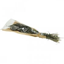 Prodotto Fiori Secchi Setaria Antracite Setole Naturali Mazzo Di Miglio 100g
