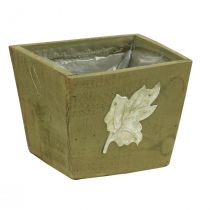 Cassetta per piante in legno shabby chic cassetta in legno verde 11×14,5×14 cm