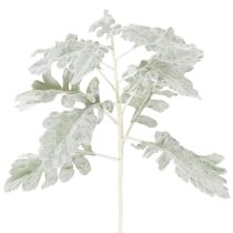 Prodotto Ramo artificiale di Senecio, foglia argentata, senecio, dettagliato, 45 cm, 3 pezzi