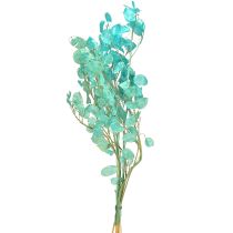 Prodotto Foglia d&#39;argento essiccata Lunaria azzurro chiaro 65-70cm 20g