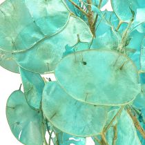 Prodotto Foglia d&#39;argento essiccata Lunaria azzurro chiaro 65-70cm 20g