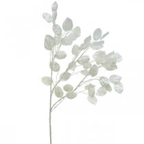 Ramo decorativo foglia argento bianco Ramo Lunaria ramo artificiale 70cm