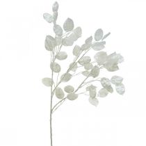 Prodotto Ramo decorativo foglia argento bianco Ramo Lunaria ramo artificiale 70cm