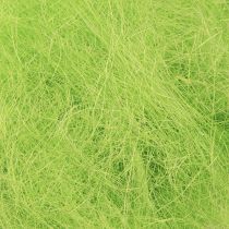 Prodotto Erba decorativa verde primavera in sisal 300g