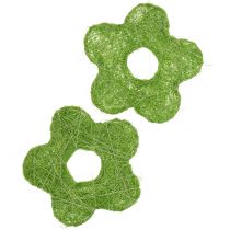 Verde sisalflower Ø7,5cm 25 pezzi