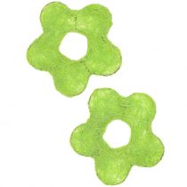 Sisalblume verde chiaro Ø7,5cm 25 pezzi