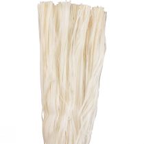 Nastro scheletrato in fibre naturali vegetali decorazione nastro naturale 180g