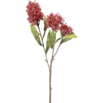 Prodotto Skimmie Skimmia Japonica Fiori artificiali Bordeaux DryLook L59 cm