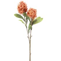 Prodotto Skimmie Skimmia Japonica Fiori artificiali Arancione DryLook L59 cm