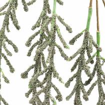 Prodotto Viticcio succulento pendente verde, bronzo metallizzato 114 cm