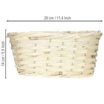 Prodotto Cestino in vimini naturale lavato bianco Con lamina 29×18×14cm