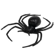 Ragno nero 16cm con mica