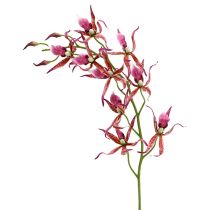 Orchidee ragno rosa-arancio 108 cm 3 pezzi