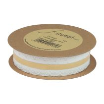 Prodotto Nastro decorativo in pizzo cuori nastro decorativo pizzo bianco 25mm 15m