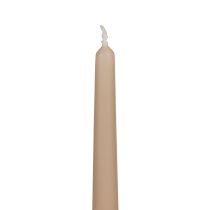 Candele coniche Candele Wenzel beige 250/23mm 12 pezzi