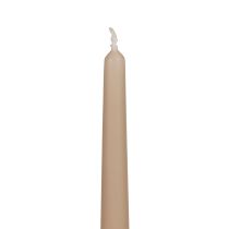 Prodotto Candele coniche Candele Wenzel beige 250/23mm 12 pezzi