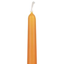 Prodotto Candele coniche, candele a bastoncino, candele Wenzel, arancione, 250/23 mm, 12 pezzi