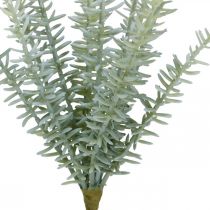 Sprenerie Asparagi Ornamentali Piante Artificiali Verde 23cm 4pz
