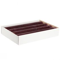 Prodotto Candele coniche candele colorate tinta unita bordeaux 50x300mm 4 pz
