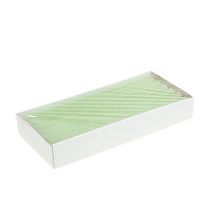 Prodotto Candele coniche tinta unita verde lime 21×240mm 12 pz