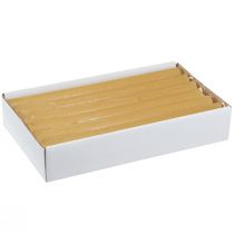 Prodotto Candele coniche candele tinta unita miele 21×240mm 12 pz