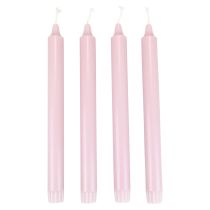 Candele coniche PURE Candele Wenzel rosa antico Rosa 250/23 mm 4 pz