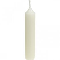 Candeline corte Candele crema per composizioni Ø22/110mm 6pz