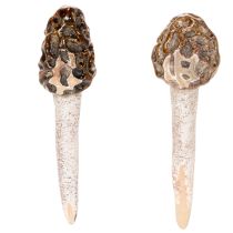 Prodotto Stecco decorativo artificiale a forma di fungo spugnola per vasi e tavoli, 13 cm, 2 pezzi