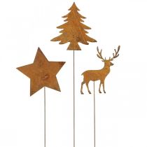 Prodotto Paletto da giardino cervo patina stella decorativa abete H10/15cm 3 pz