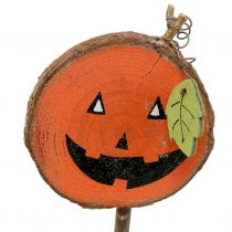 Plug Pumpkin Nature, Orange 8cm 12pcs