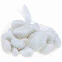Prodotto Ciottoli di fiume Bianco Naturale 3-5cm 1kg