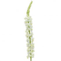 Prodotto Desert tail bianco 106cm