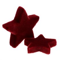 Prodotto Decorazioni natalizie stelle decorazione da tavola floccata bordeaux 4–5 cm 40 pz