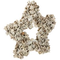 Prodotto Stella da appendere Decorazione natalizia bianca, glitter Ø15cm